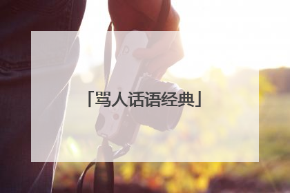 骂人话语经典