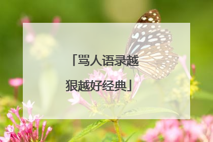 骂人语录越狠越好经典