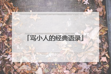 骂小人的经典语录