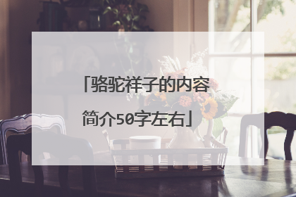 骆驼祥子的内容简介50字左右