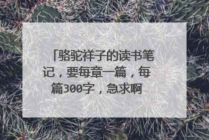 骆驼祥子的读书笔记,要每章一篇,每篇300字,急求啊!!!高财富值啊