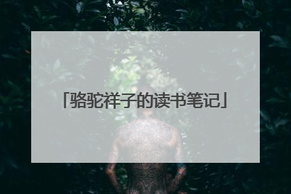 骆驼祥子的读书笔记