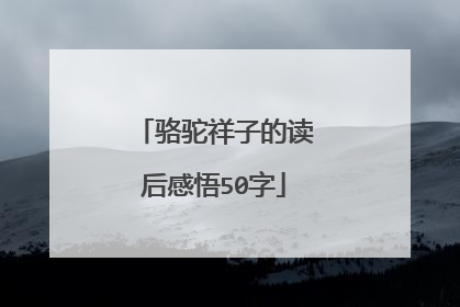 骆驼祥子的读后感悟50字