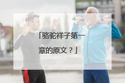 骆驼祥子第一章的原文?
