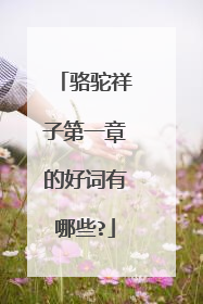 骆驼祥子第一章的好词有哪些?