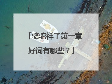 骆驼祥子第一章好词有哪些?
