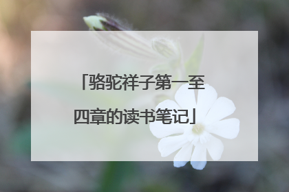 骆驼祥子第一至四章的读书笔记