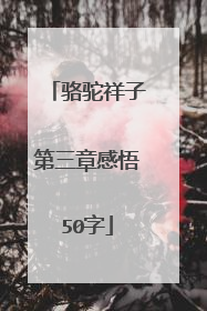 骆驼祥子第三章感悟50字