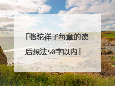 骆驼祥子每章的读后想法50字以内