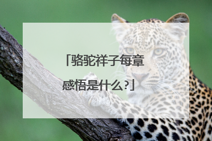 骆驼祥子每章感悟是什么?