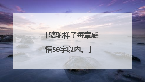 骆驼祥子每章感悟50字以内。
