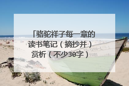 骆驼祥子每一章的读书笔记（摘抄并）赏析（不少30字） 拜托，急用