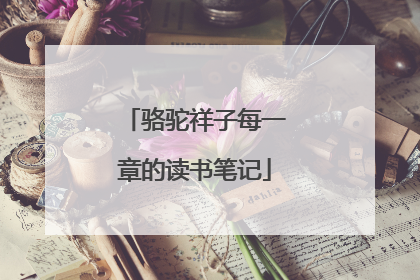 骆驼祥子每一章的读书笔记