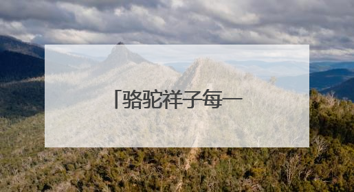 骆驼祥子每一章的阅读感受