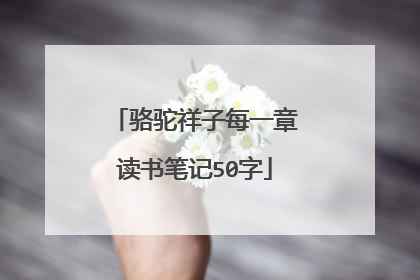骆驼祥子每一章读书笔记50字