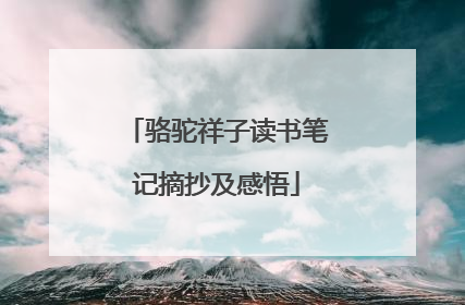 骆驼祥子读书笔记摘抄及感悟