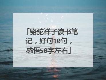 骆驼祥子读书笔记,好句10句,感悟50字左右