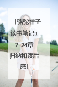 骆驼祥子读书笔记17-24章归纳和读后感