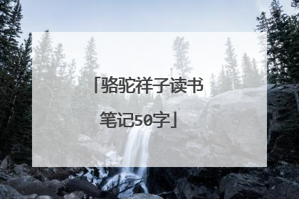 骆驼祥子读书笔记50字