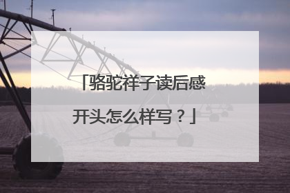 骆驼祥子读后感开头怎么样写？