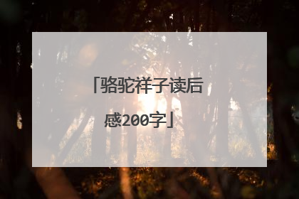 骆驼祥子读后感200字