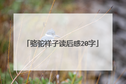 骆驼祥子读后感20字