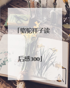 骆驼祥子读后感300