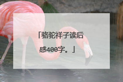 骆驼祥子读后感400字。