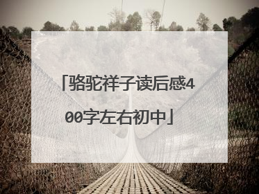 骆驼祥子读后感400字左右初中