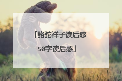骆驼祥子读后感50字读后感