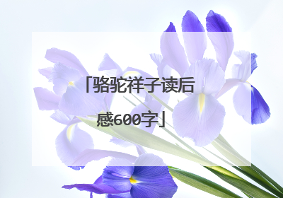 骆驼祥子读后感600字