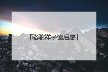 骆驼祥子读后感