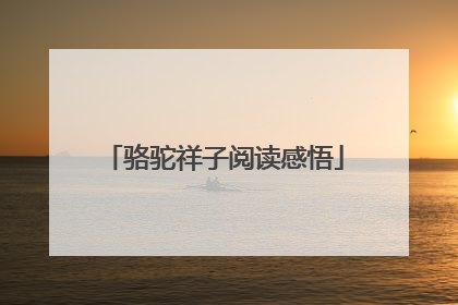 骆驼祥子阅读感悟