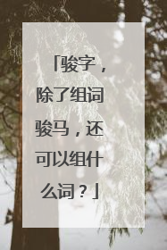 骏字，除了组词骏马，还可以组什么词？