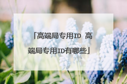 高端局专用ID 高端局专用ID有哪些