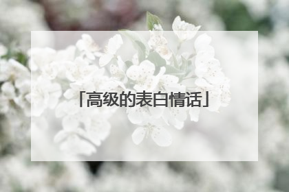 高级的表白情话