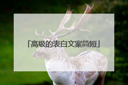 高级的表白文案简短