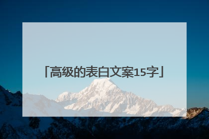 高级的表白文案15字