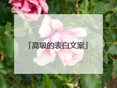 高级的表白文案