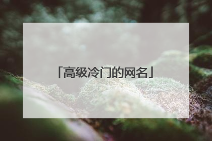 高级冷门的网名