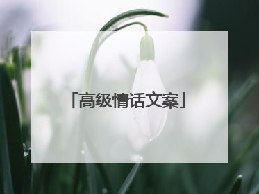 高级情话文案