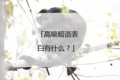 高级暗语表白有什么？