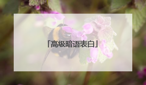 高级暗语表白