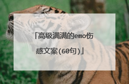 高级满满的emo伤感文案(60句)