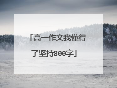 高一作文我懂得了坚持800字