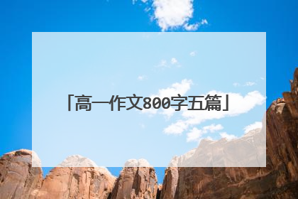高一作文800字五篇