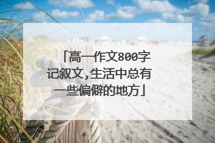 高一作文800字记叙文,生活中总有一些偏僻的地方