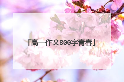 高一作文800字青春