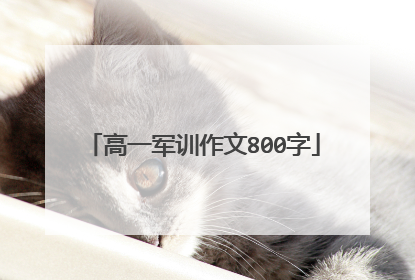 高一军训作文800字