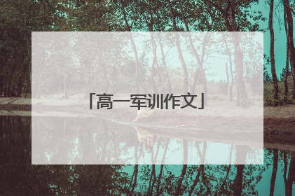 高一军训作文